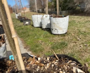 img Vanguard Helps Plant Trees at Kammerer Middle School